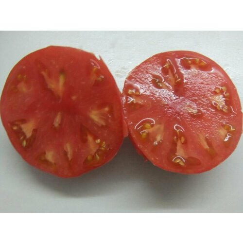 Коллекционные семена томата Большой Чиф розовый пион шоуни чиф