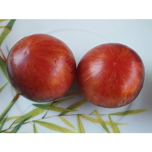 Коллекционные семена томата Золотая Яблоня Святого Жана Де Борегард яблоня золотая китайка