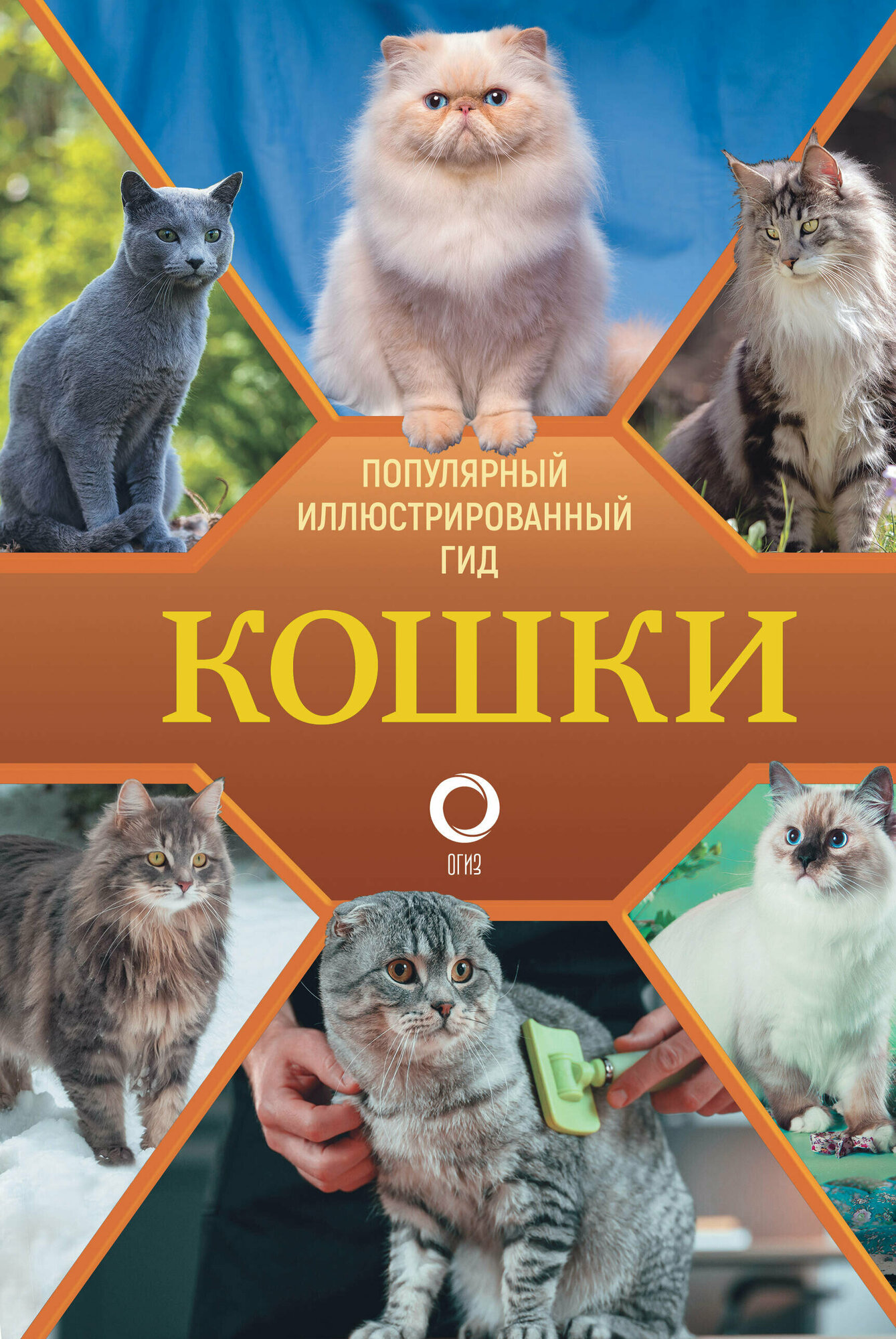 Кошки (Непомнящий Николай Николаевич) - фото №1