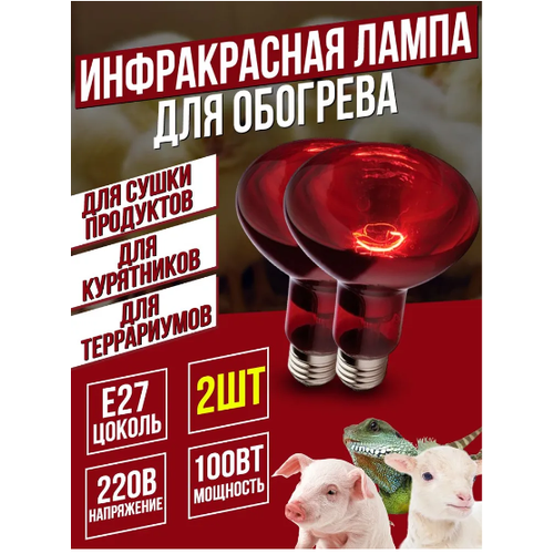 Инфракрасная лампа для курятника 100 Вт R95, 2 шт
