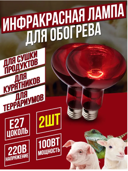 фото Инфракрасная лампа для курятника 100 Вт R95, 2 шт