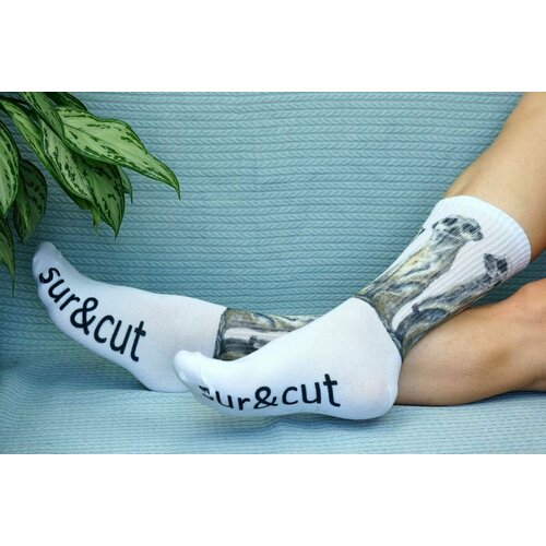 фото Носки , размер 36/41, серый, белый хлопковые cotton print