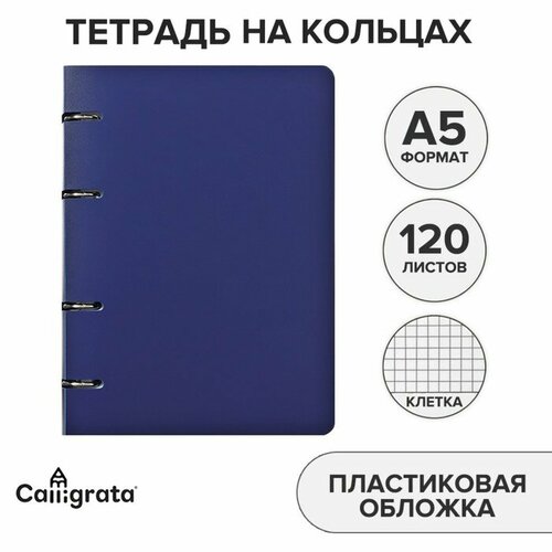 Тетрадь на кольцах, в клетку, 120 листов Синяя, пластиковая обложка, блок офсет