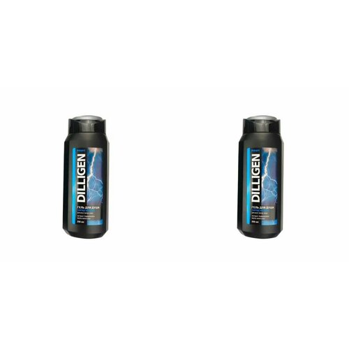 DILLIGEN Гель для душа Заряд молнии, мужской, 250 мл, 2 шт.