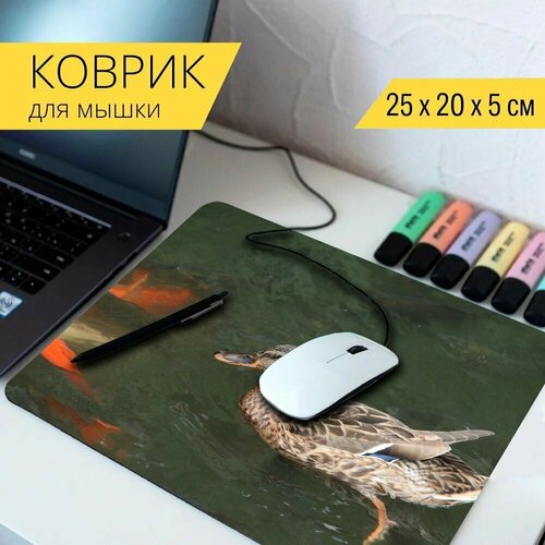 Коврик для мыши с принтом Кряква, птица, утка 25x20см.