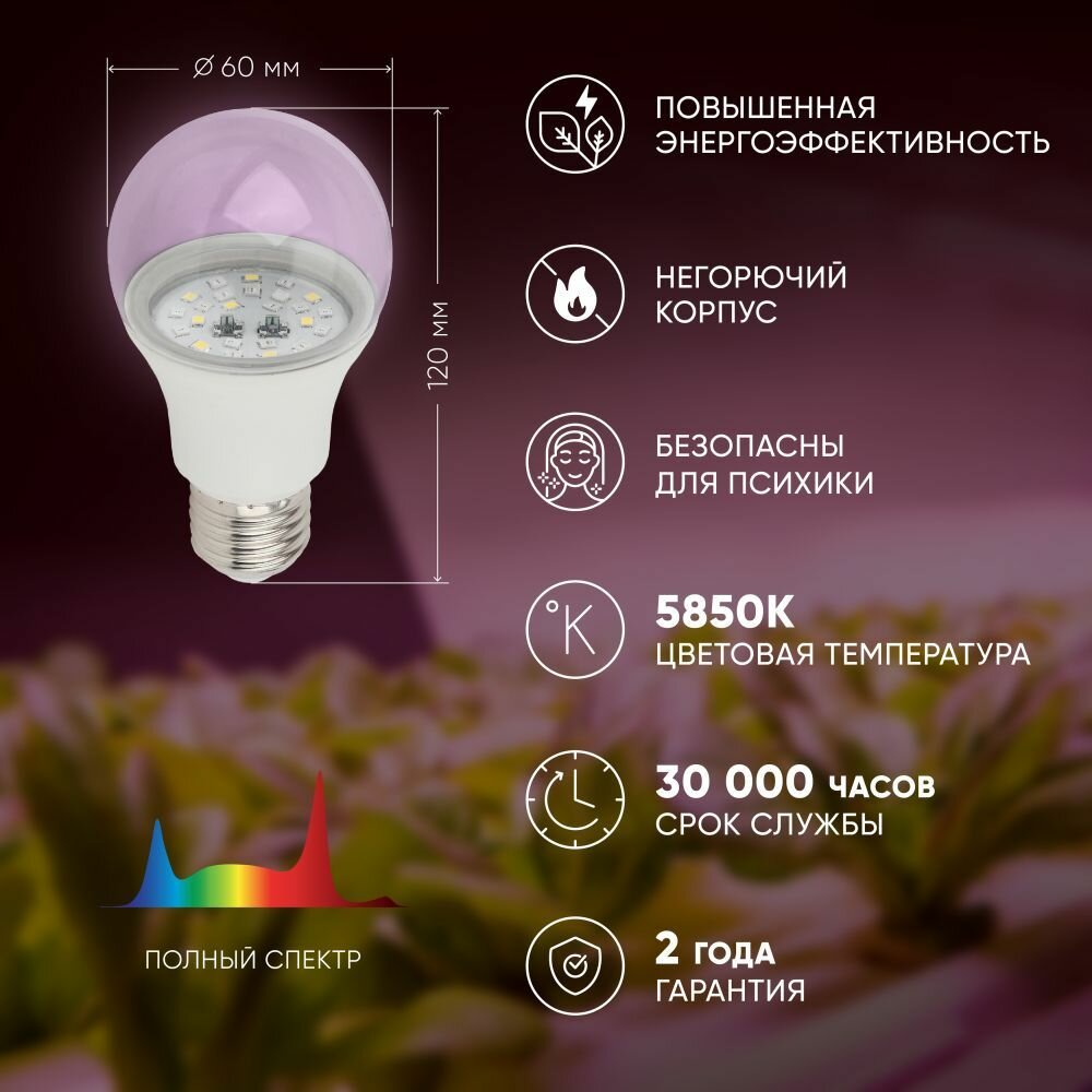 Фитолампа ЭРА FITO-11W-Ra90-E27 светодиодная для растений полный спектр 5850К 11Вт