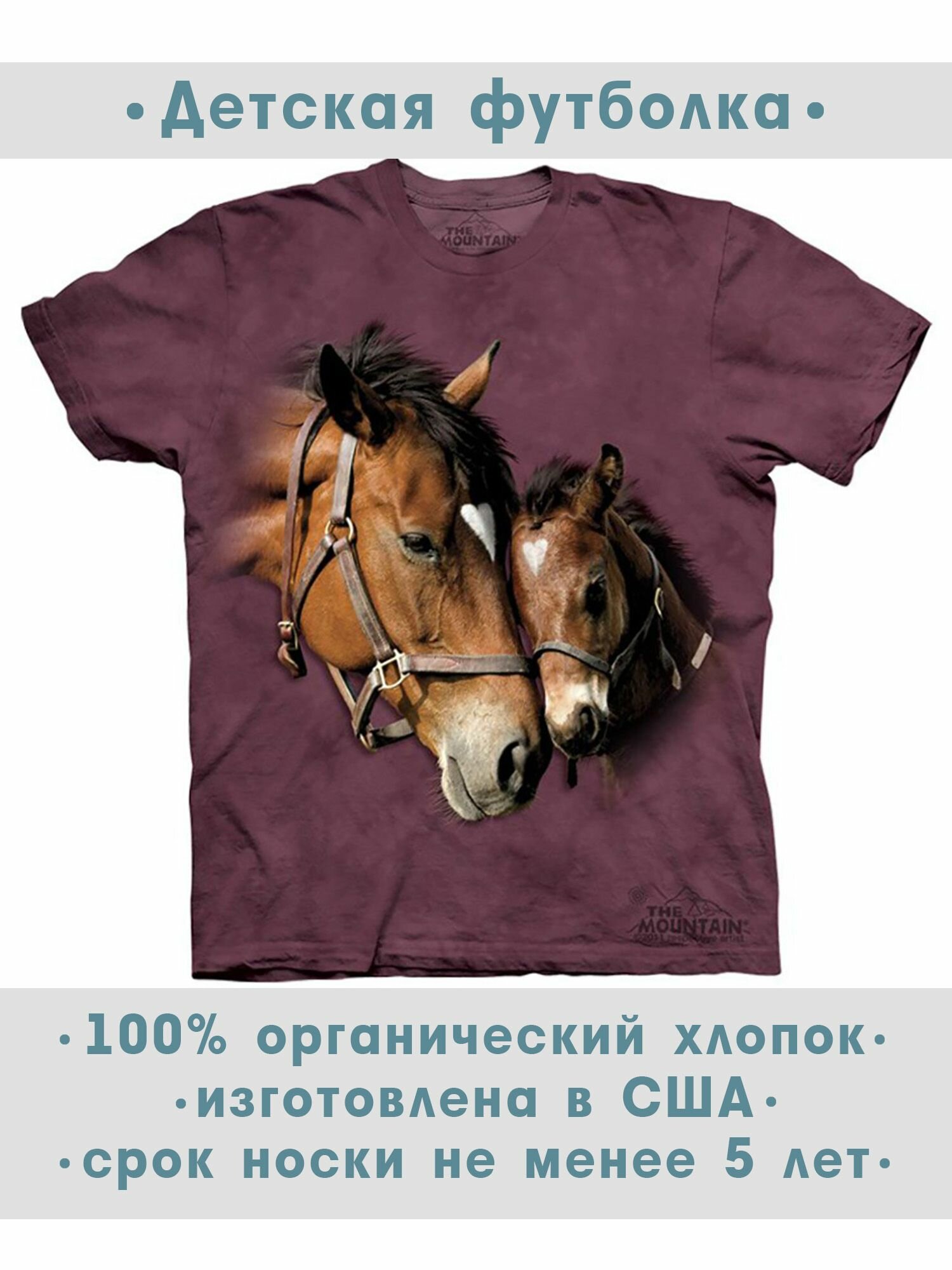 Футболка детская The Mountain "Two Hearts"