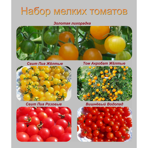 Коллекционный набор семян мелких томатов набор семян томатов 5шт гавриш