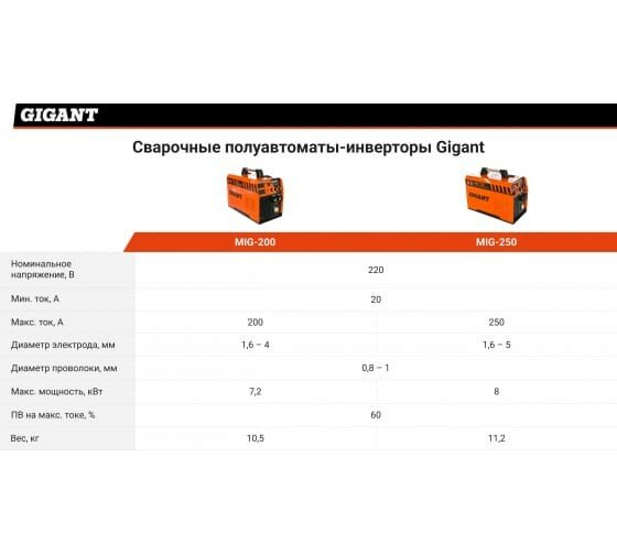 Gigant - фото №17