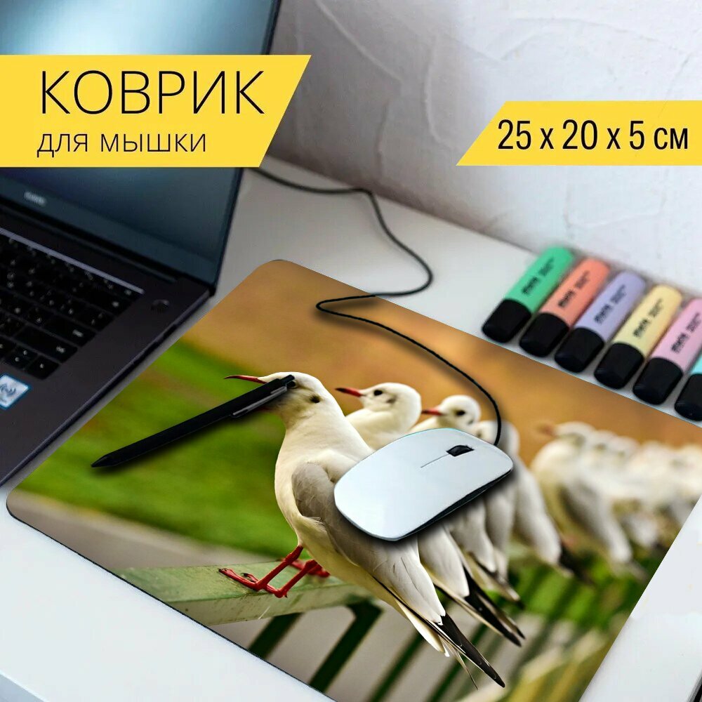 Коврик для мыши с принтом "Чайка, морских птиц, клюв" 25x20см. — купить ...