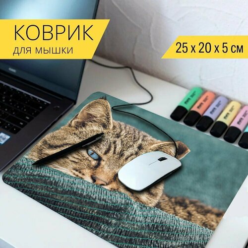 Коврик для мыши с принтом Кошка, тигр, млекопитающее 25x20см. коврик для мыши с принтом тигр белый тигр кошка 25x20см