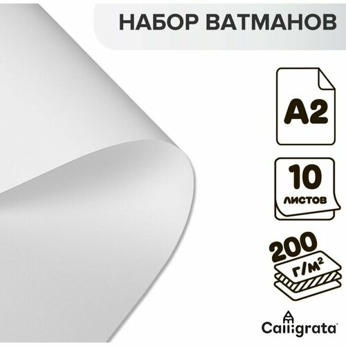 Набор ватманов чертёжных А2, 200 г/м², 10 листов сметана авида 10% 200 г