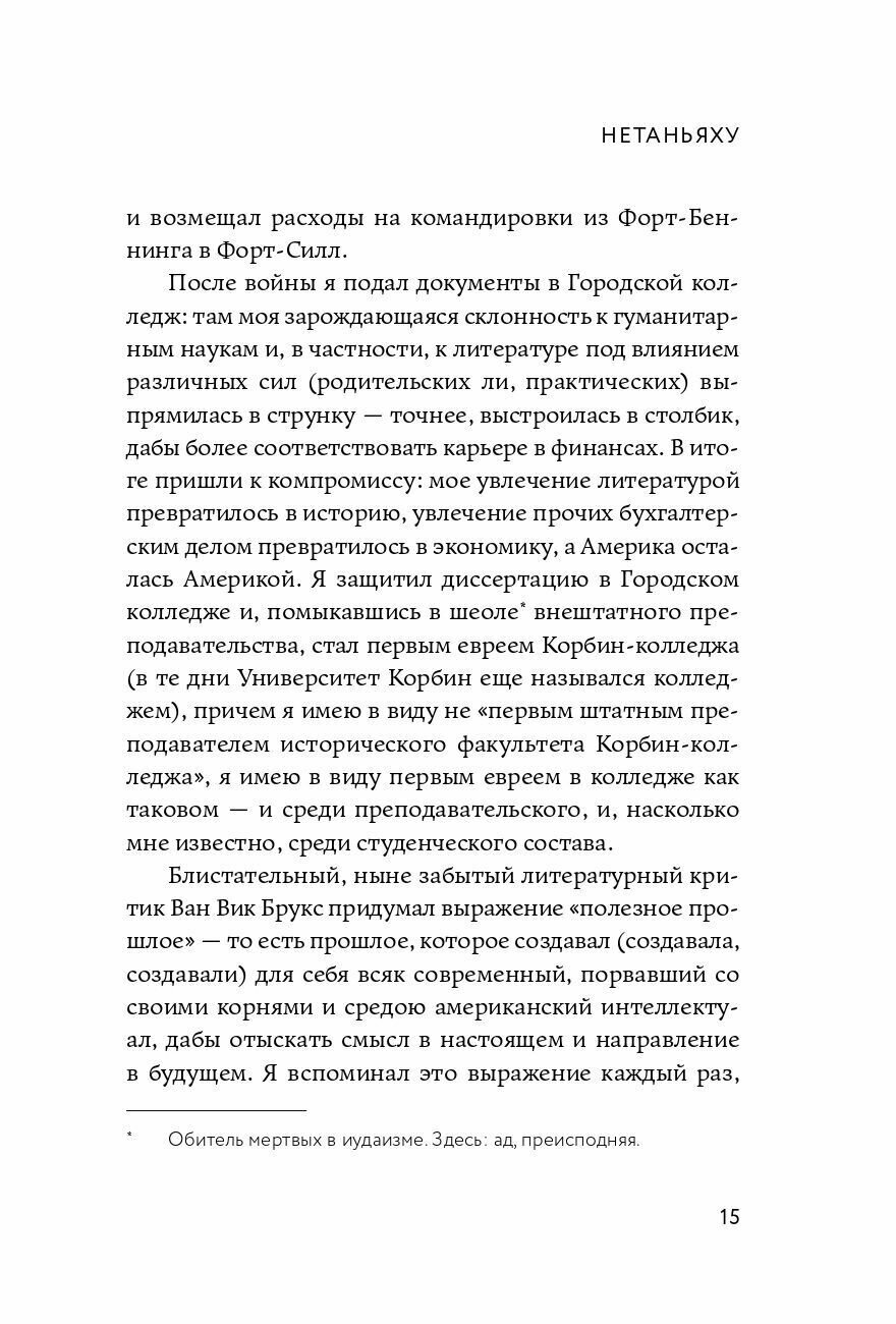 Нетаньяху. Отчет о незначительном и в конечном счете даже неважном эпизоде из жизни очень известной семьи: роман - фото №8