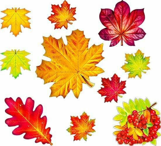 Декор осенние листья на праздник, Набор украшений (ассорти №6), 10 шт.