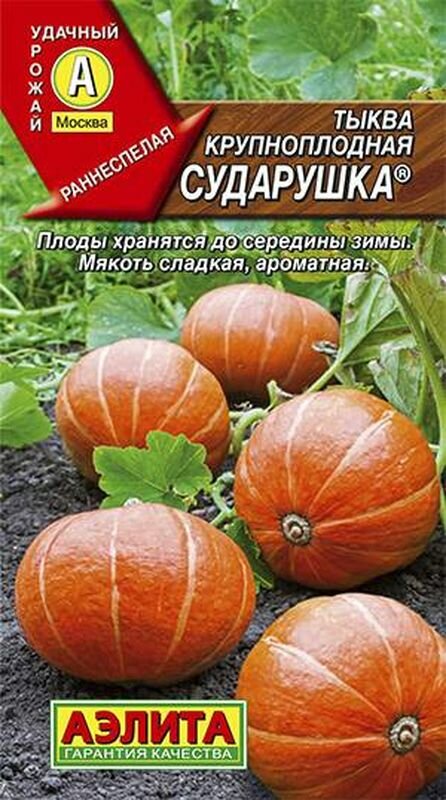 Семена Тыква Сударушка (раннеспелый) (Аэлита) 1г