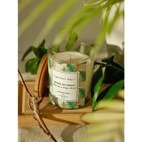 Свеча ароматическая Morning forest/ Утренний лес, хлопковый фитиль