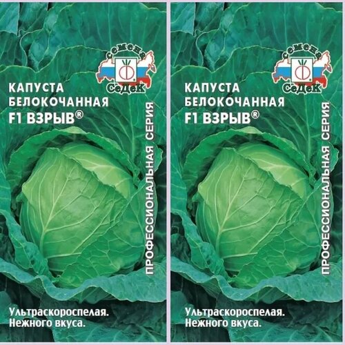 Семена Капуста белокочанная Взрыв F1, 2 упаковки капуста взрыв семена