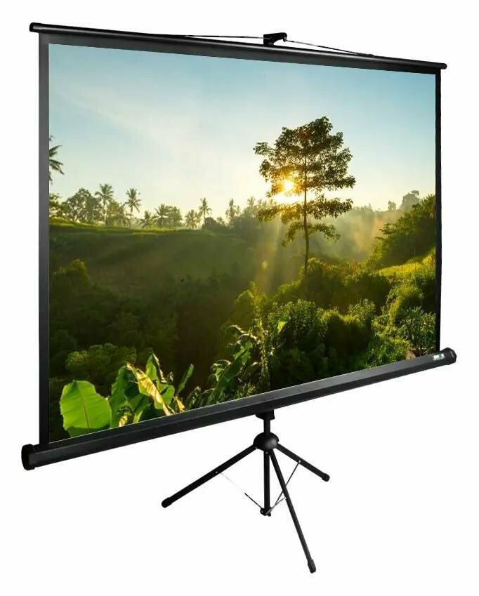 Экран Cactus TriExpert CS-PSTE-200x200-BK, 200х200 см, 1:1, напольный черный