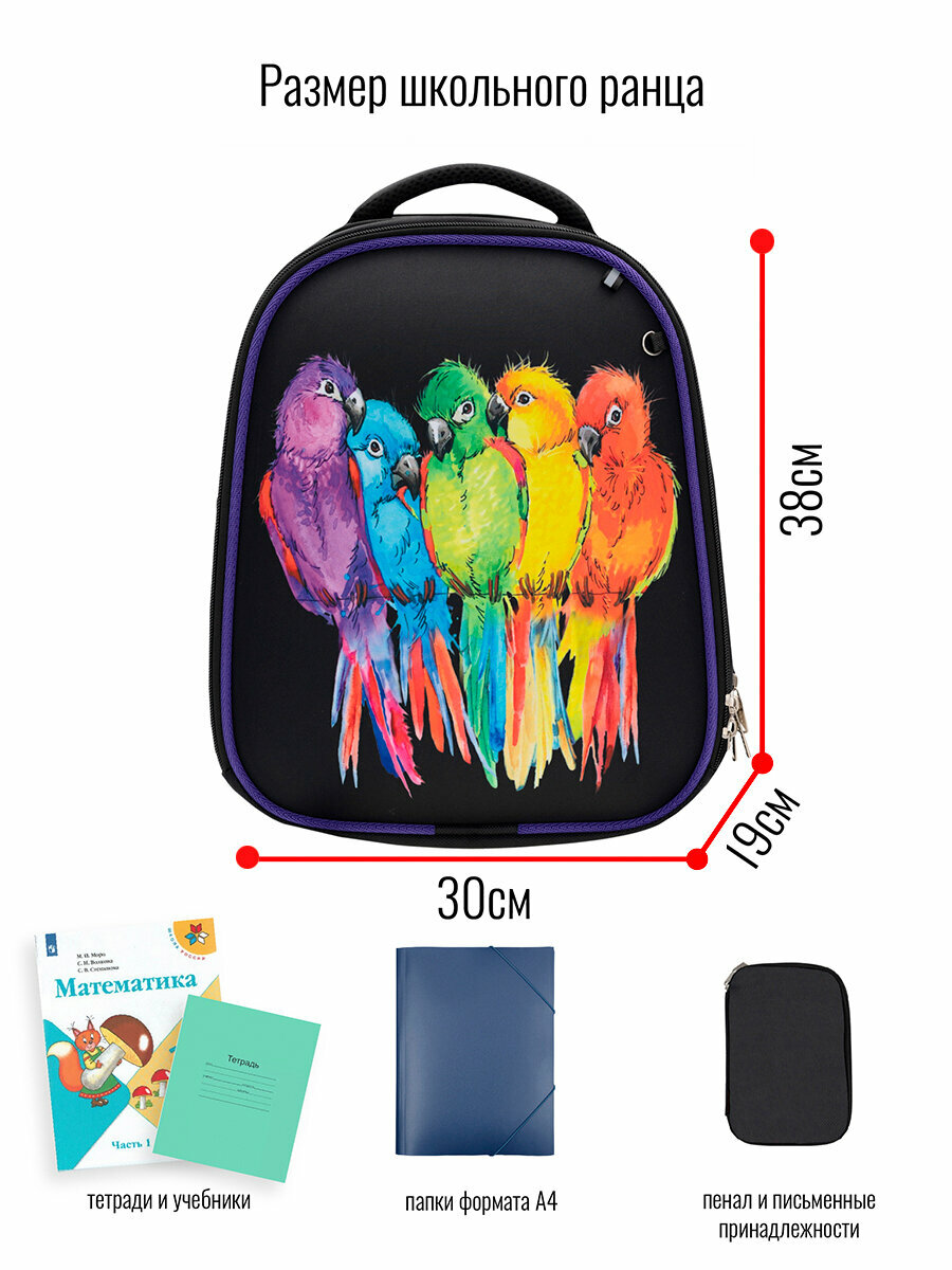 Ранец BagRio BR024/23 - фото №9