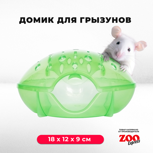 домик переноска zooexpress для грызунов хомяков крыс и мышей 18х12х9 см с дверцей голубой Домик-переноска ZOOexpress для грызунов, хомяков, крыс и мышей, 18х12х9 см, с дверцей, зеленый