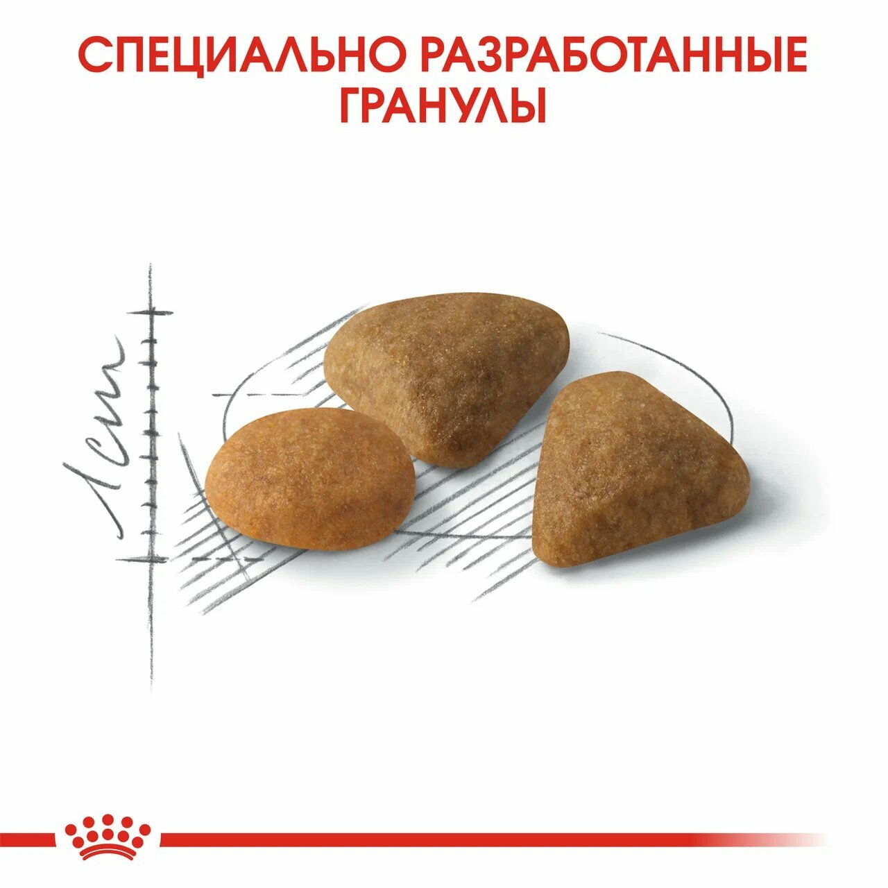 Сухой корм Royal Canin Savour Exigent (Сэйвор Экзиджент) для привередливых кошек от 1 года, 2 кг