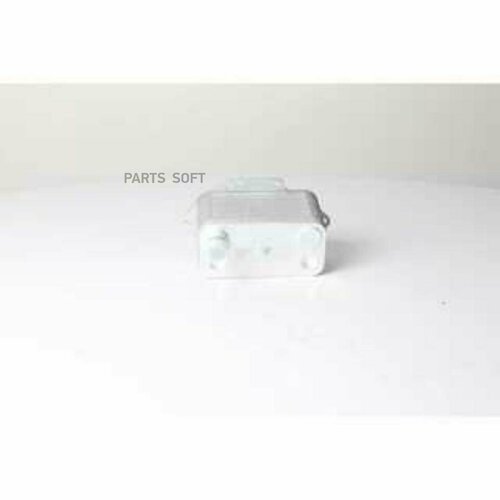 BSG AUTO PARTS BSG15506026 Радиатор масяный