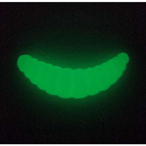 фото Форелевая приманка crazy trout maggot