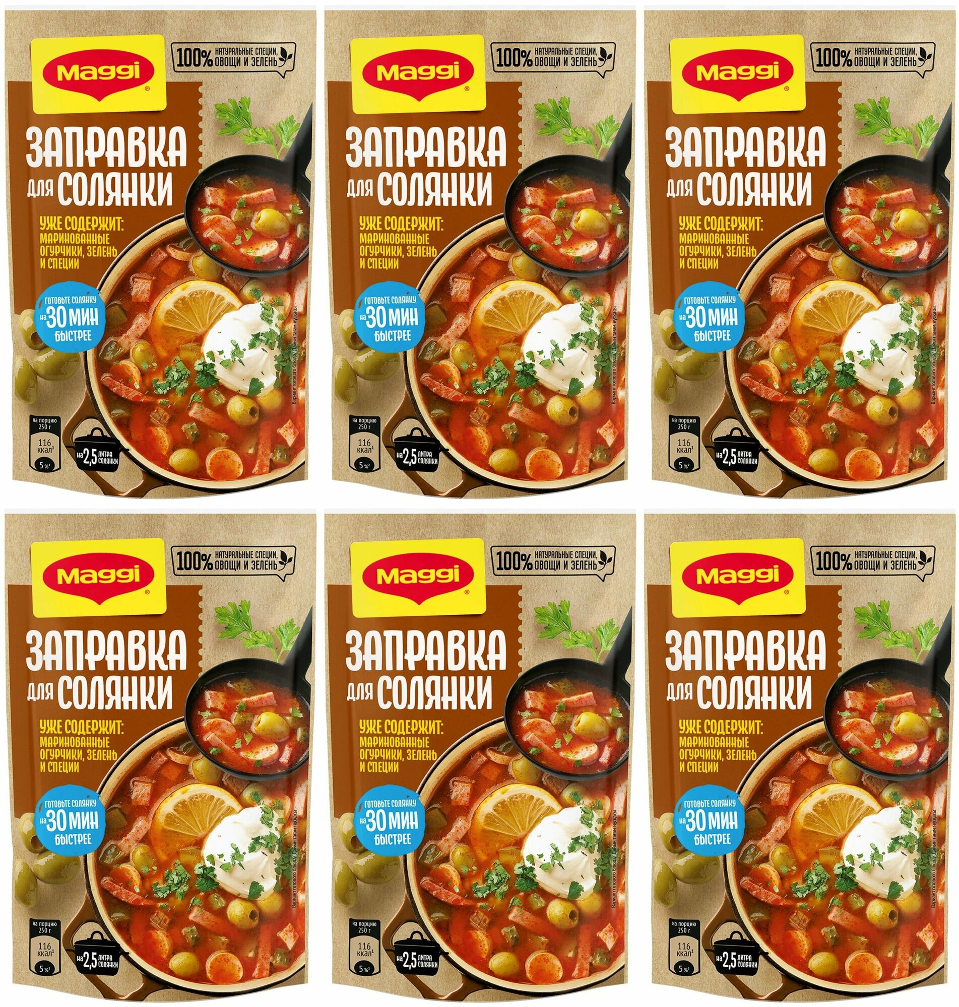 Maggi Заправка для солянки, 180 гр, 6 уп