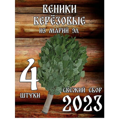 Веники березовые для бани из Марий Эл с ручкой из джута 4 штуки в коробке