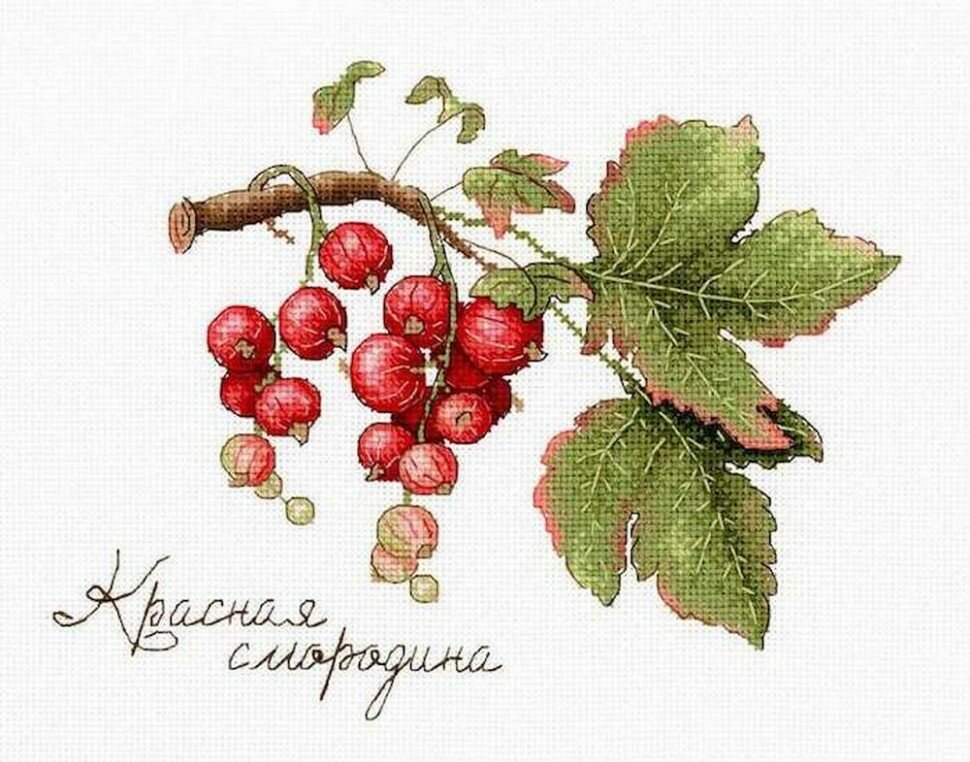 Набор для вышивания М. П. Студия #НВ-695 Дары природы. Красная смородина, Счетный крест, 15 x 20 см
