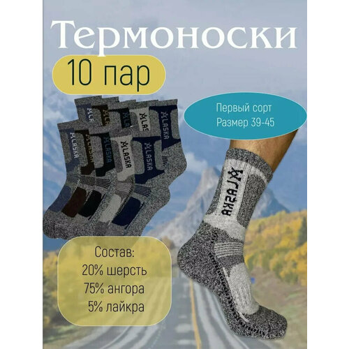 Термоноски , 10 пар, размер 39-45, мультиколор термоноски 130 den 10 пар размер 40 45 черный