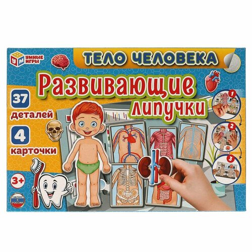 Игра с липучками Тело человека УМка 4680107930538 игра с липучками пираты умка 4680107925091