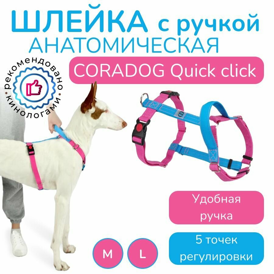 Шлейка с ручкой прогулочная анатомическая для средних и крупных пород собак, CORADOG Quick click, размер M, цвет голубой, ярко розовый