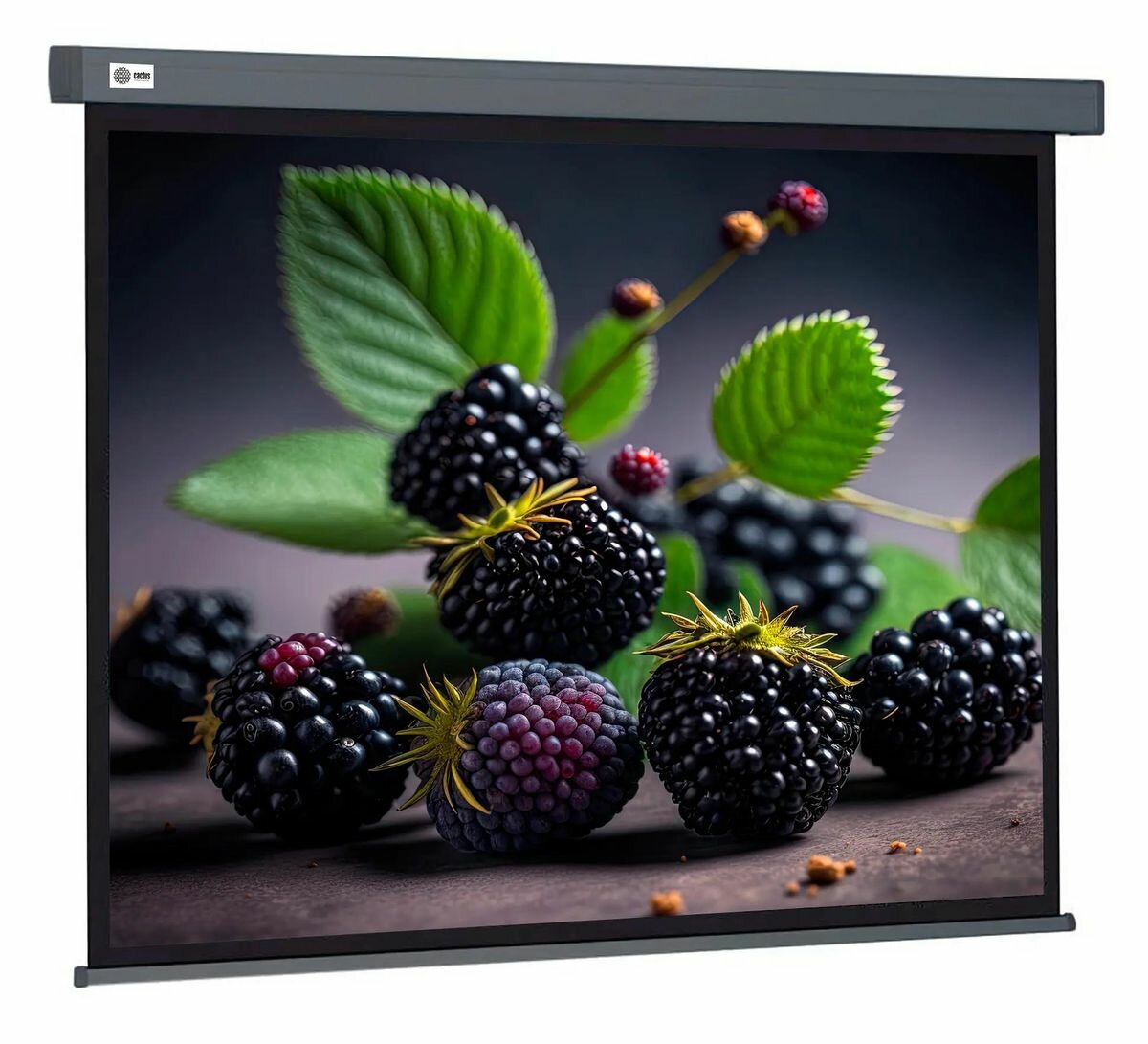 Экран Cactus Wallscreen CS-PSW-127X127-SG, 127х127 см, 1:1, настенно-потолочный серый