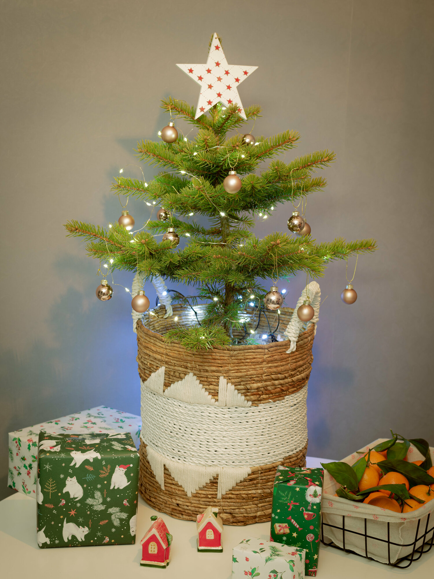 Живая новогодняя ель - ель колючая 