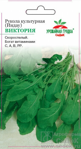 Салат руккола Виктория СеДек - фото №4