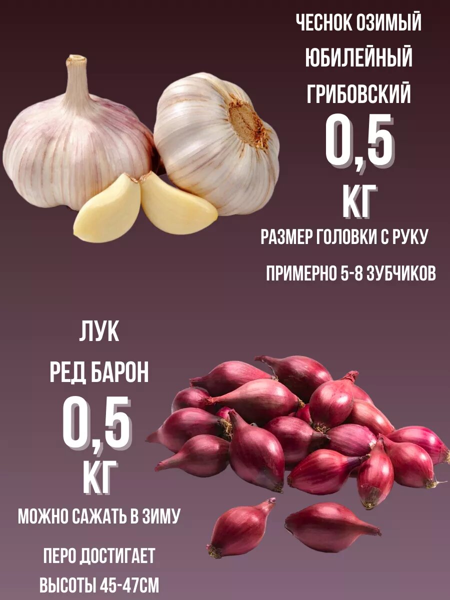 Набор Чеснок Озимый и Лук севок 0.5