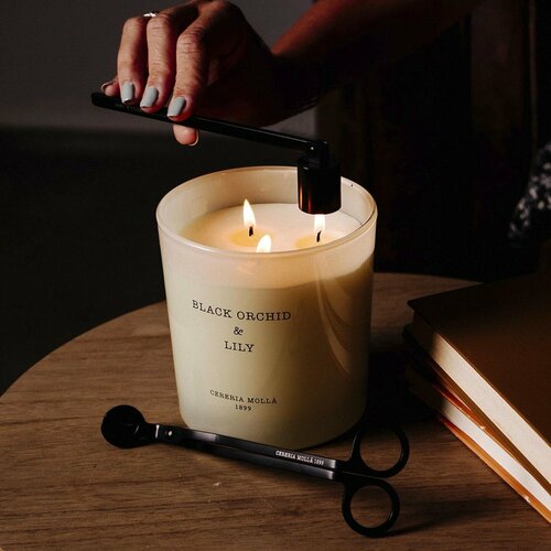 BLACK ORCHID & LILY Большая свеча в стекле, Cereria Molla 1899