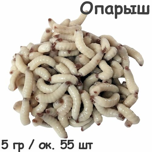 Съедобная мягкая белковая приманка Опарыш 5 гр / ок 40 шт крупный свежайший от апр'25