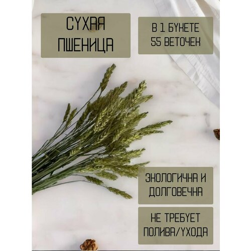 Букет натуральный пшеница для декора дома офиса магазина