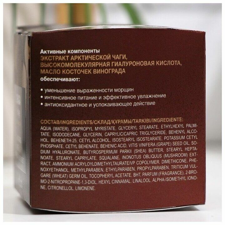 Крем-питание для лица против старения ночной Антивозрастной уход Chaga Proage Белита 50мл Белита СП ООО - фото №9