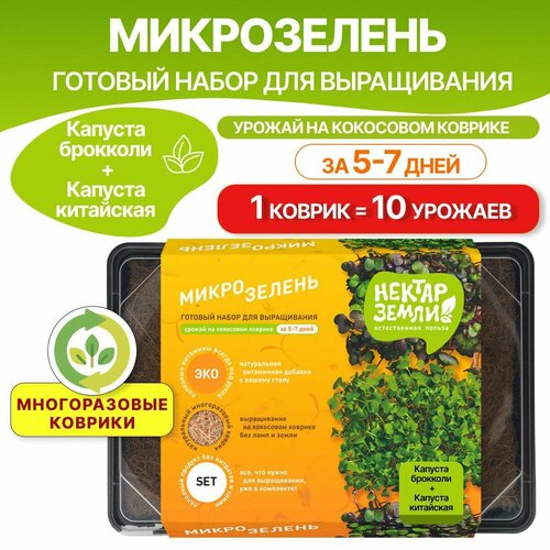 полный набор для выращивания микрозелени капуста зелёная Набор для выращивания микрозелени, Mix 1, капуста брокколи + капуста китайская