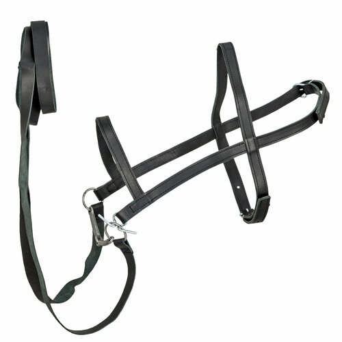 Узда для лошади выездная / REITER