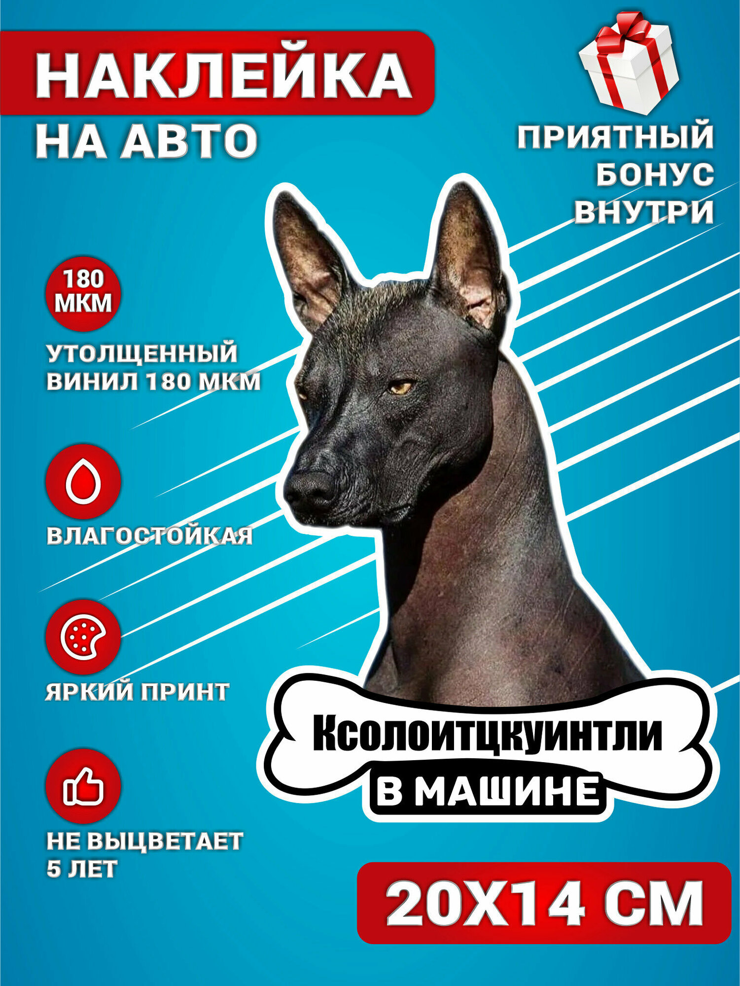Наклейки на авто стикеры на стекло на кузов авто Ксолоитцкуинтли собака в машине 20х14 см, KRASNIKOVA, винил, клеевая основа