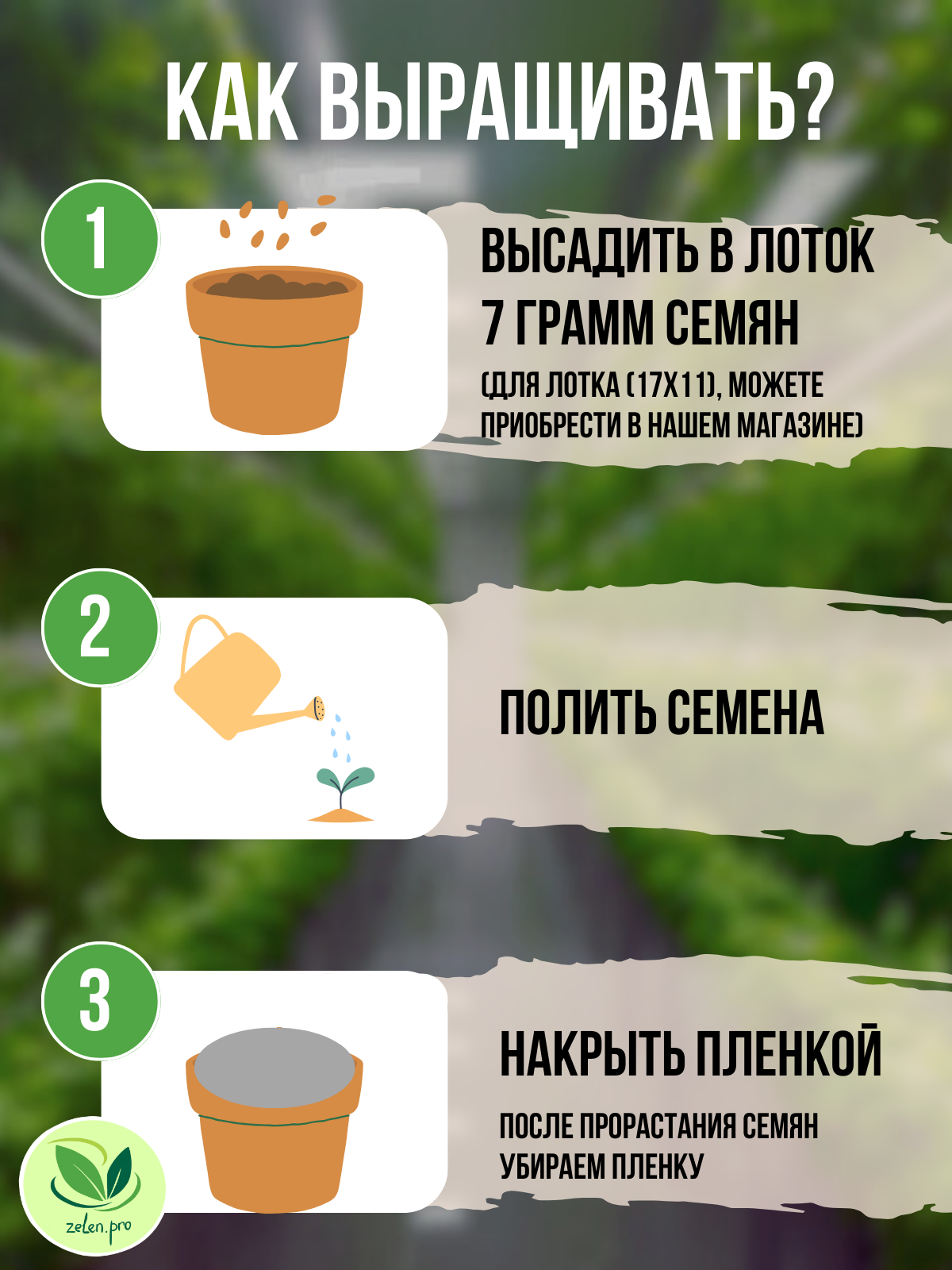 Семена брокколи для выращивания микрозелени. 100 грамм с инструкцией по выращиванию