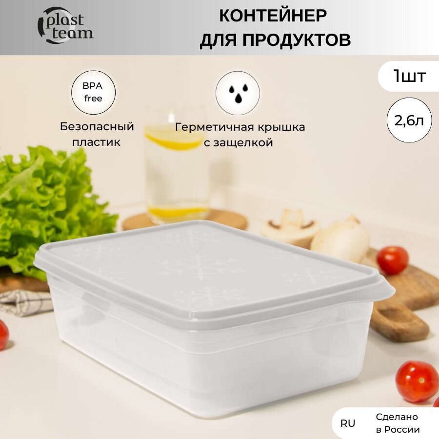 Набор контейнеров для хранения продуктов 2шт по 45л (ДхШхВ) 26х18х13см контейнеры пластиковые