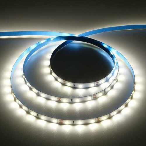 Светодиодная лента Ecola PRO 5 м, IP20, SMD5060, 60 LED/м, 11 Вт/м, 12 В, 4200К (комплект из 3 шт)