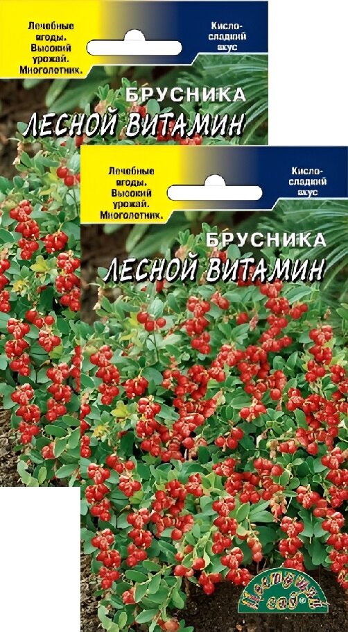 Брусника Лесной витамин (001 г) 2 пакета