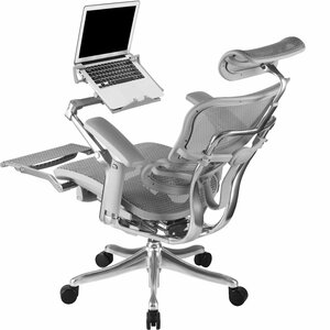 Ergohuman plus deluxe 2024 mesh office chair
