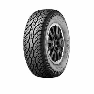 Evergreen ES89 Лето Нешипованные 245/75 R16 120S/116S [TL]